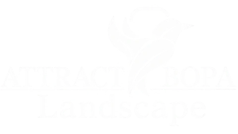 Attract Bopa Landscape