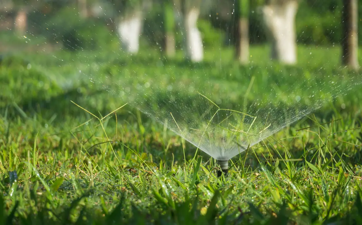 A pop-up sprinkler sprays a fine mist across a green lawn.